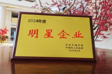 新春新景新氣象 | 景興紙業(yè)在平湖三干大會上喜摘榮譽！